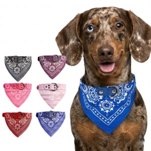 Collier chien cuir avec bandana – Collier ajustable bandana style western